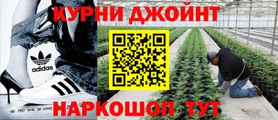 соль ск Гагарин