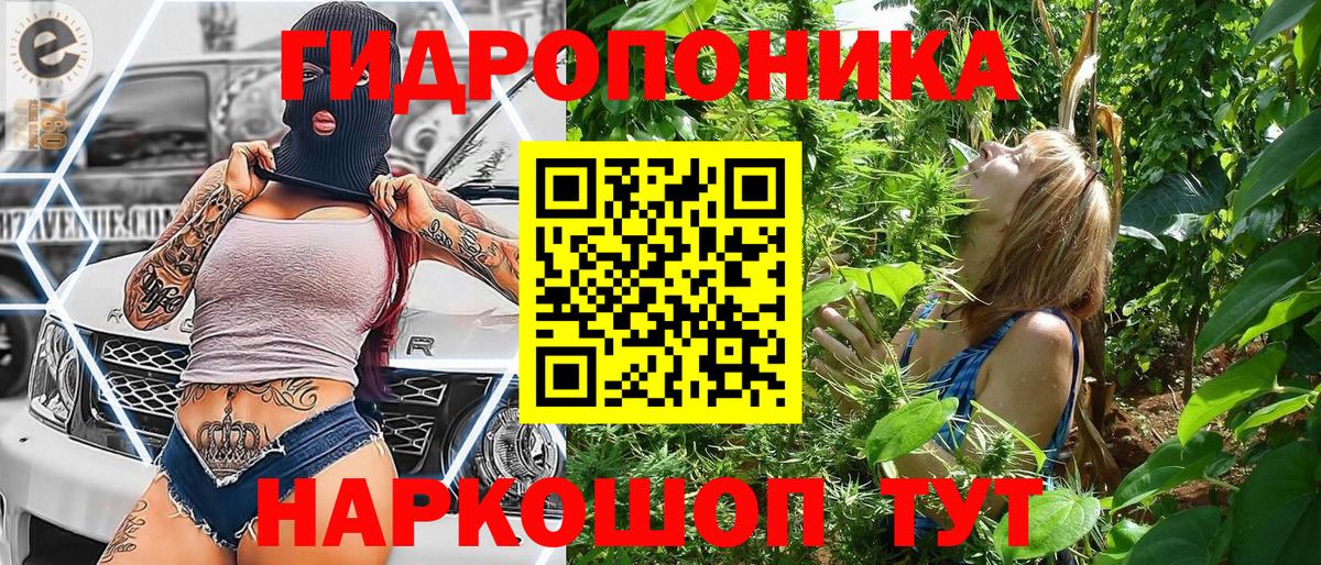Сердобск  Каннабис OG Kush  Вход с VPN  Каннабис марихуана  Бошки марихуана VHQ 